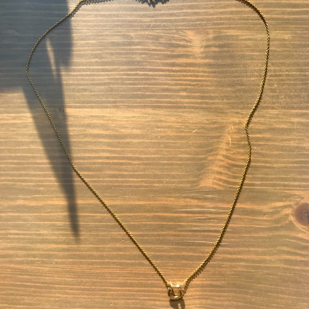 Lucky horseshoe necklace